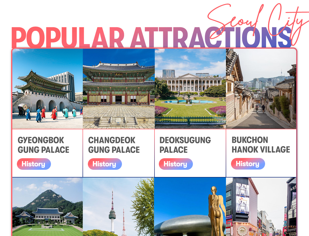 Seoul Car Rental with Driver to Seoul City/Everland/Nami Island/Alpaca World/Gangchon Rail Park