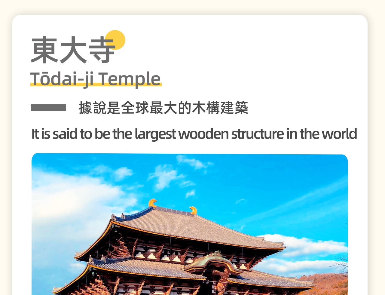 【東大寺】(費用敬請自理)又稱大華嚴寺,是752年,聖武天皇為了祀奉大佛並作為日本寺院的總寺而建的,是華嚴宗的大本山。東大寺院內還有二月堂、三月堂等。入場費:東大寺大殿大人600日圓,兒童300日圓 【東大寺】(費用敬請自理)又稱大華嚴寺,是752年,聖武天皇為了祀奉大佛並作為日本寺院的總寺而建的,是華嚴宗的大本山。東大寺院內還有二月堂、三月堂等。入場費:東大寺大殿大人600日圓,兒童300日圓