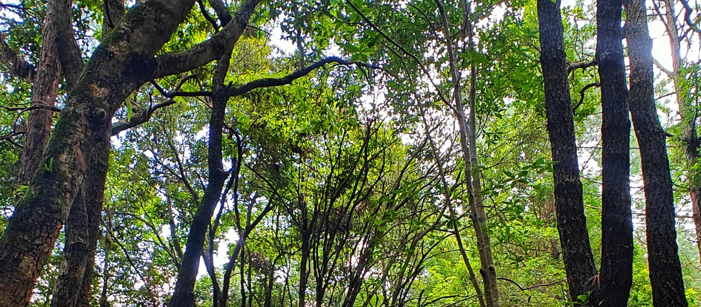 賈瑪喬健行步道