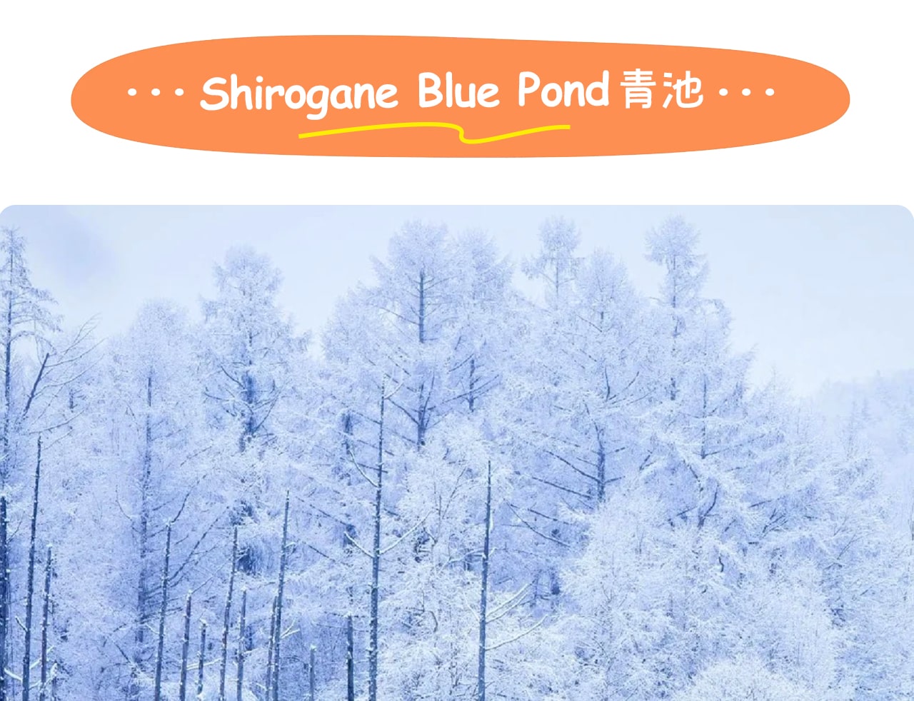 青池以夢幻湛藍的池水和倒映枯木的獨特景緻聞名，是北海道美瑛最具代表性的自然奇觀之一。