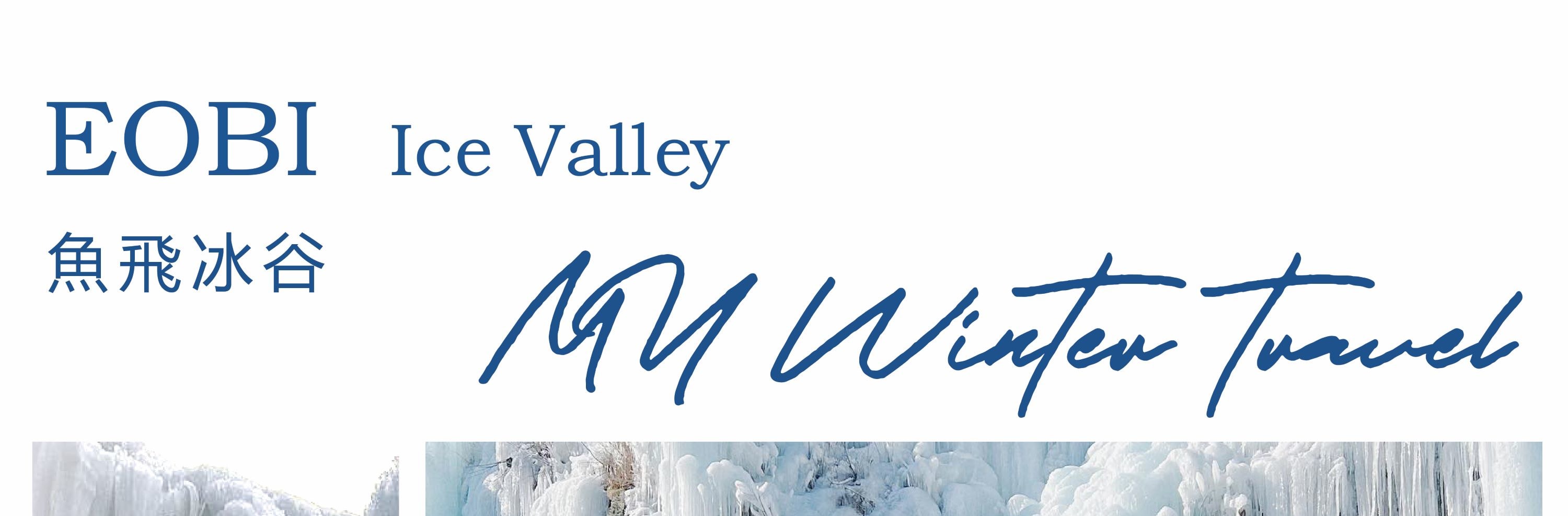 Cheongyang Ice Festival & Nami & Eobi Ice Valley & Strawberry Tour