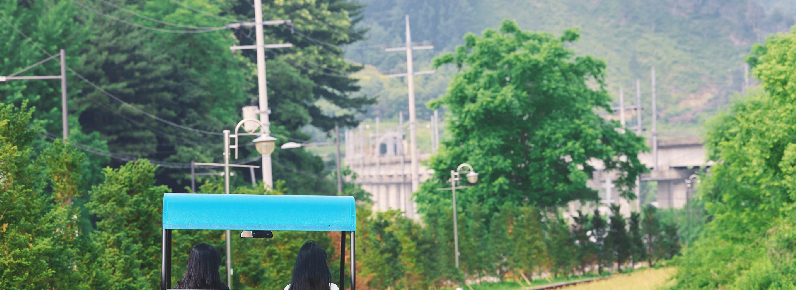 南怡島／草泥馬／鐵道自行車／小法國村／晨靜樹木園／海棠花園之旅