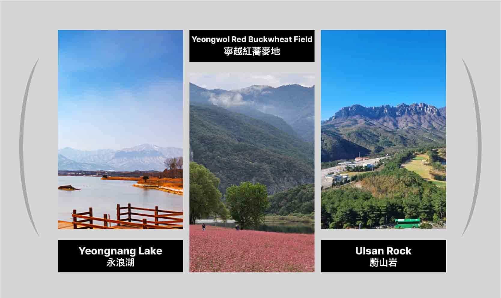 首爾私人訂製汽車之旅