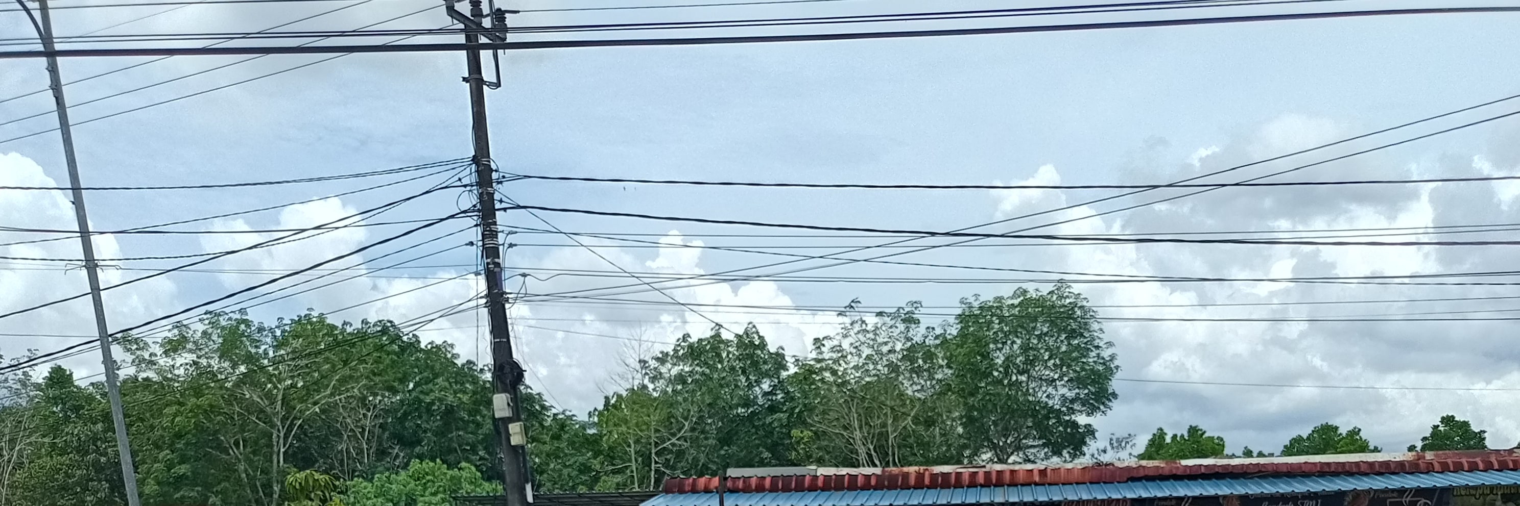 民丹島包車遊覽 