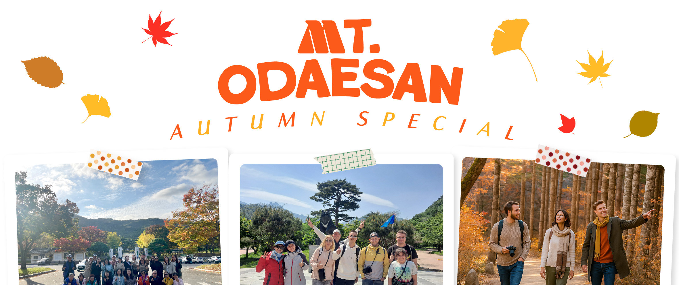 五臺山是韓國最大的國家公園之一，以其令人驚嘆的景色而聞名，包括茂密的森林、原始的河流和雄偉的山峰。