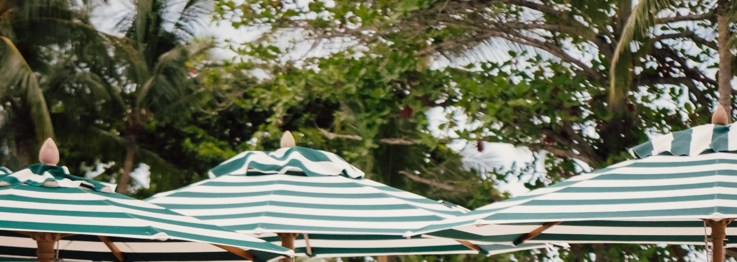 Seen Beach Club Samui