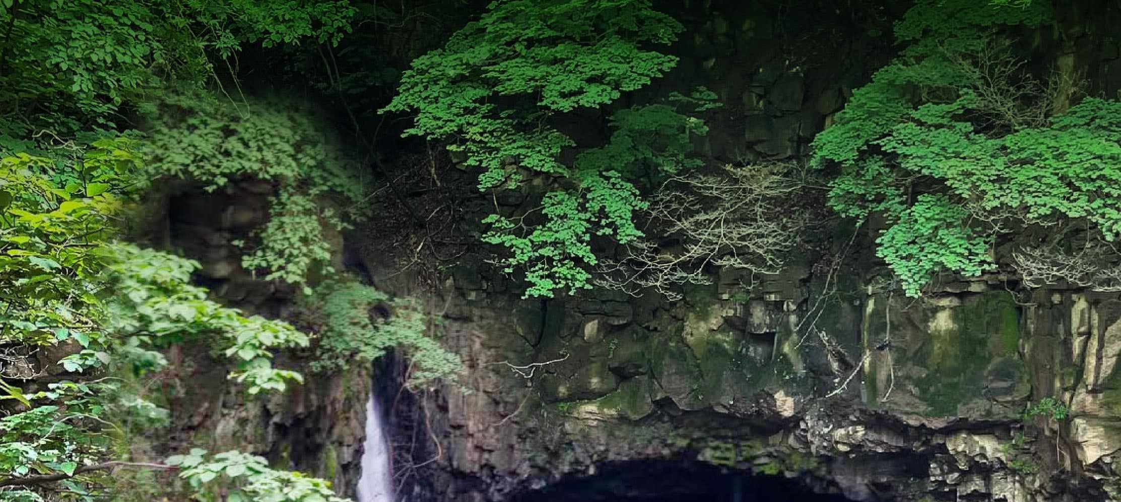 浦川 & 季節性熱門景點一日遊