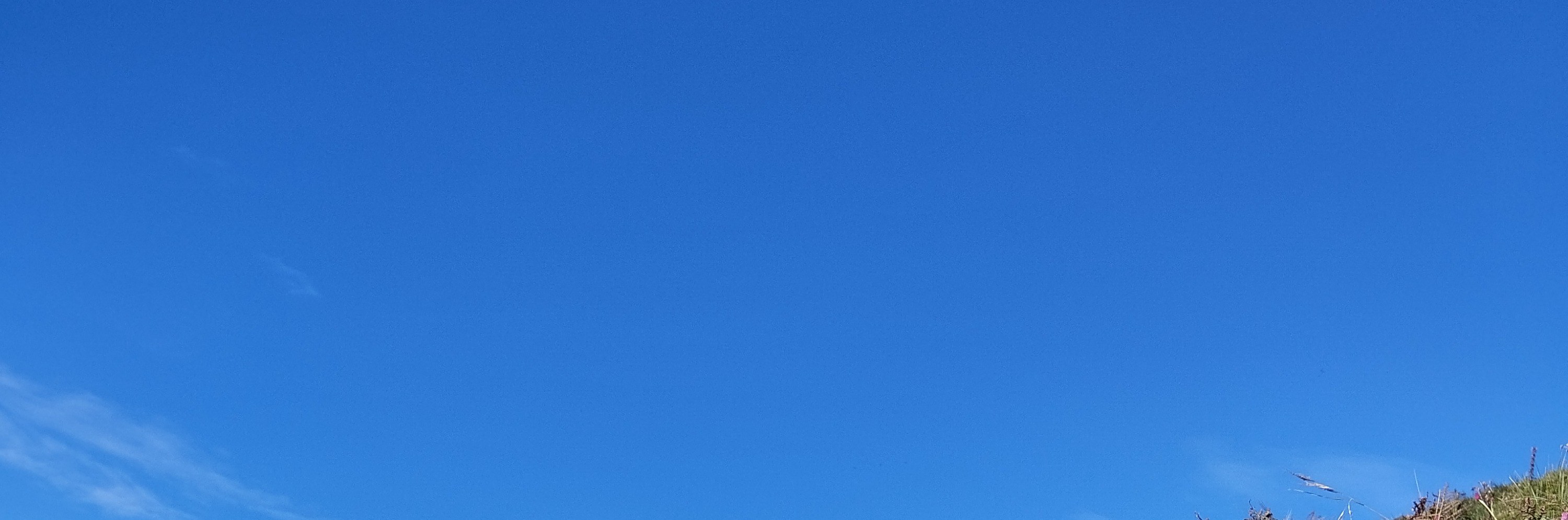 博卡拉：4天馬爾迪喜馬拉雅山徒步之旅