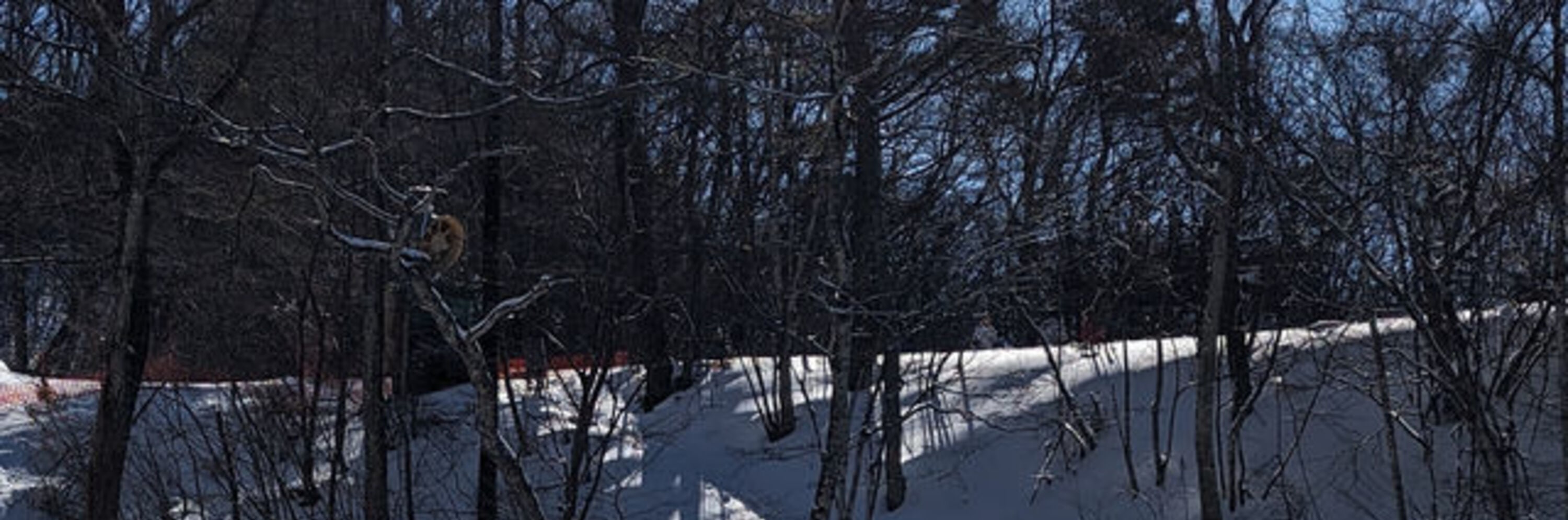 1-Day Ski & Shopping Trip from Tokyo – Karuizawa Prince Snow Resort