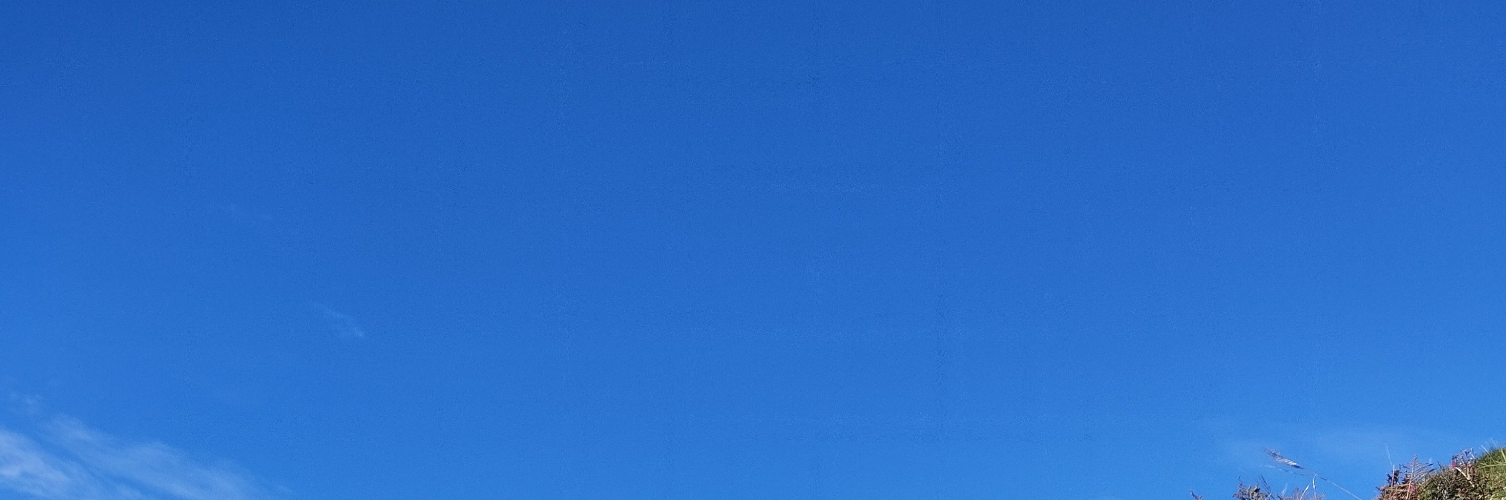 博卡拉：4天馬爾迪喜馬拉雅山徒步之旅