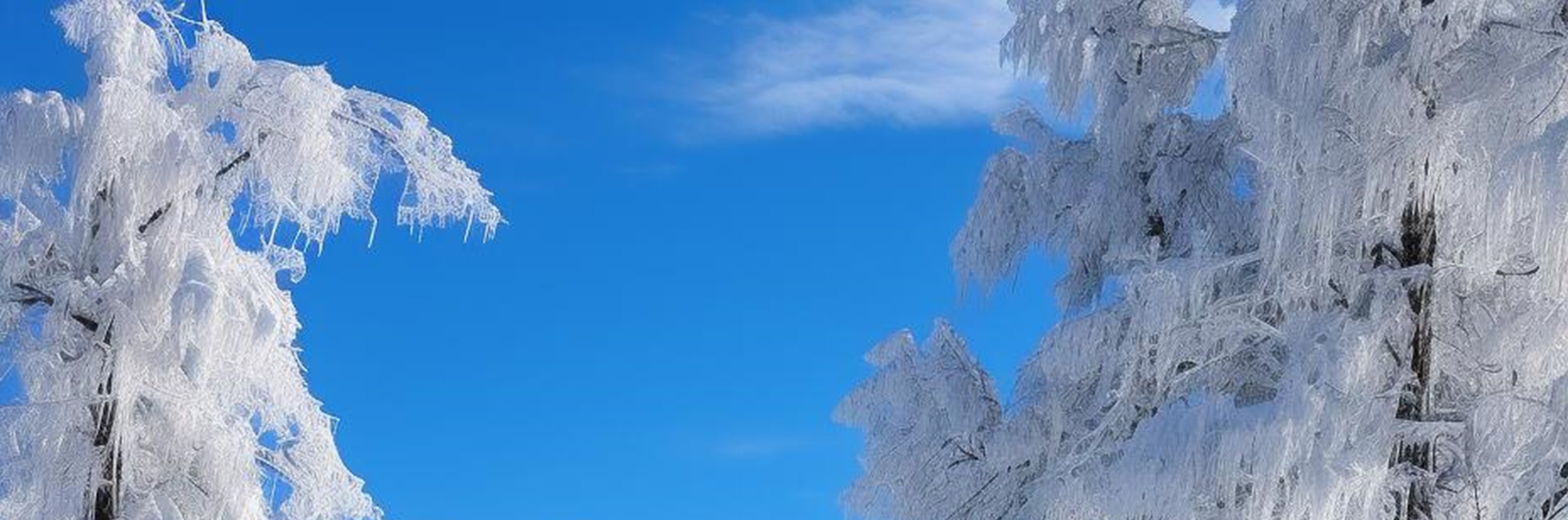 四川畢棚溝&四姑娘山深度2日遊（畢棚溝+四姑娘山+一次打卡網紅雙景點+贈送特色湯鍋+成都往返）