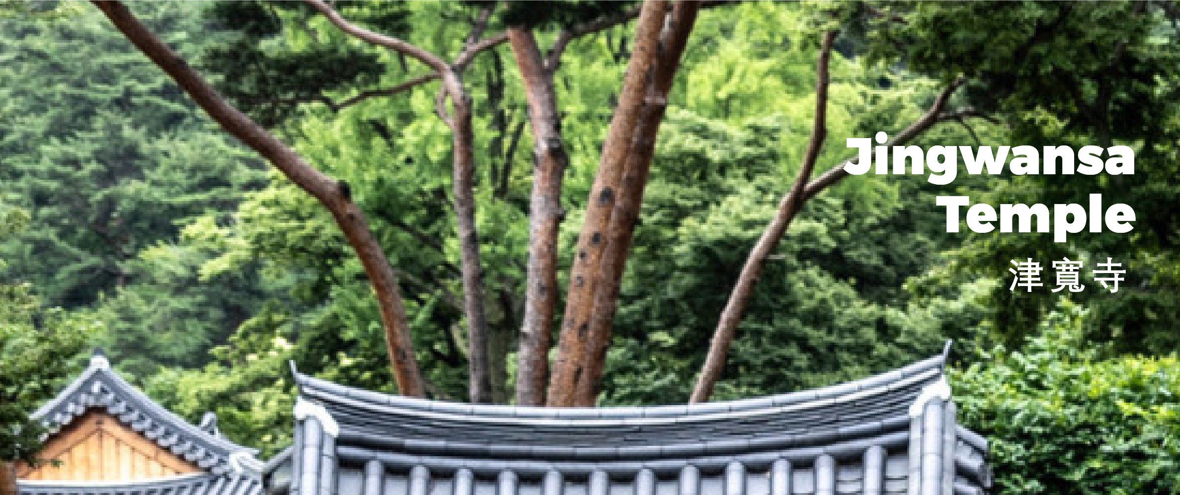 首爾市 & 季節性熱門景點一日遊
