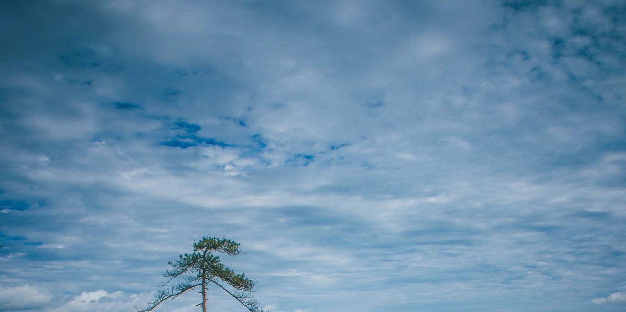 看吶！恩施奇峰聳峙，青松傲立巖巔，層巒隱現雲霧，盡顯大自然鬼斧神工