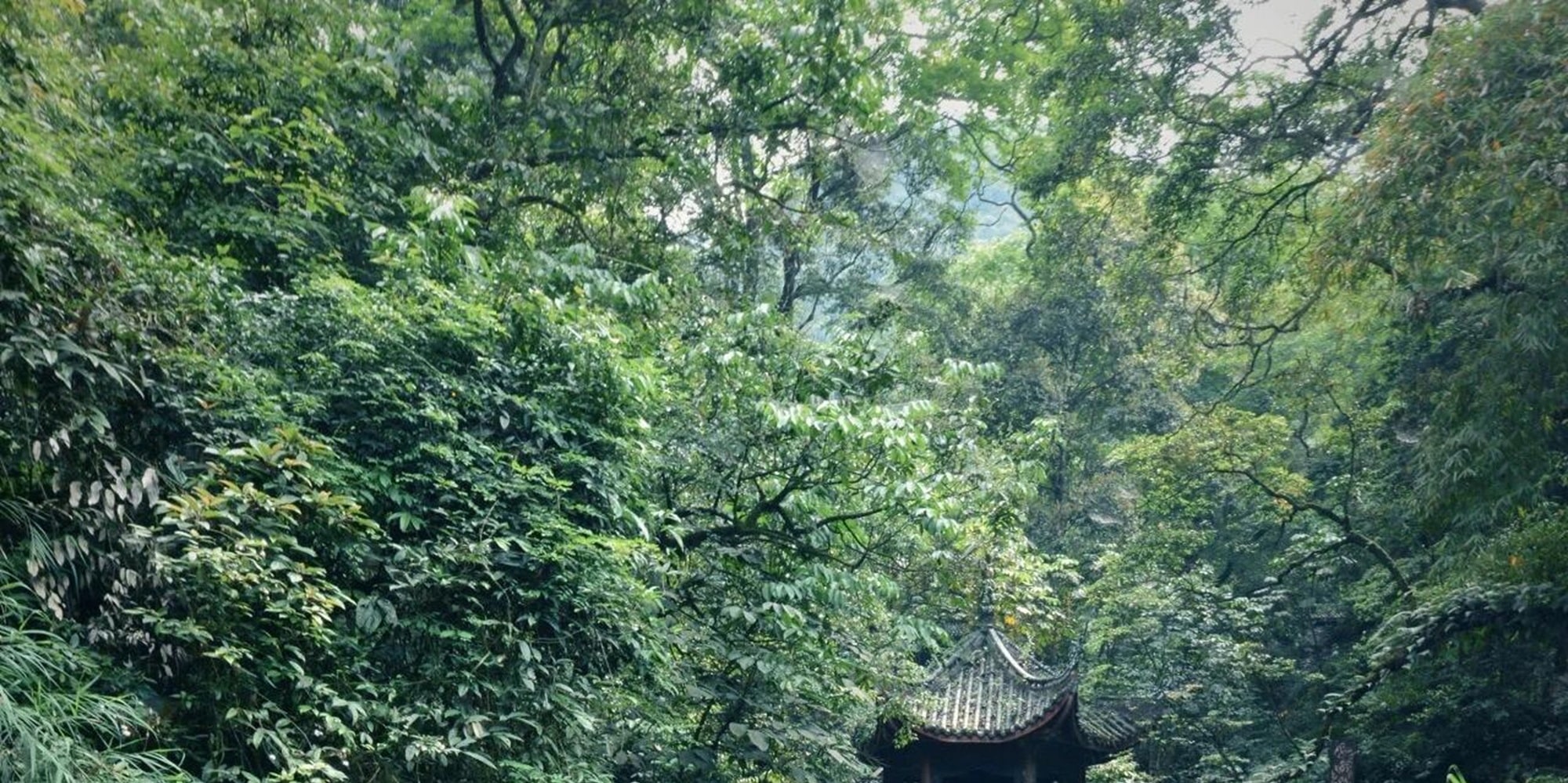 The beautiful scenery of Emei Mountain and the clear sound of the twin bridges. The black and white waters converge, the flying bridge is like a rainbow, and the sound of the waves is like a piano. It is like a fairyland. Come and feel this natural music.
