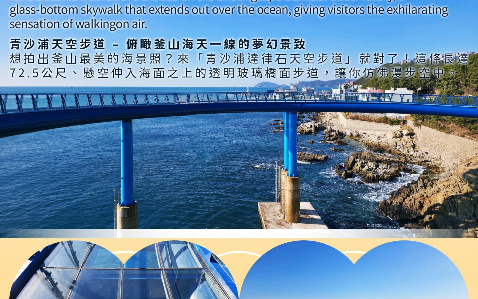 太宗臺繡球花 / 松島海上纜車 / 甘川洞 / 廣安裡之旅