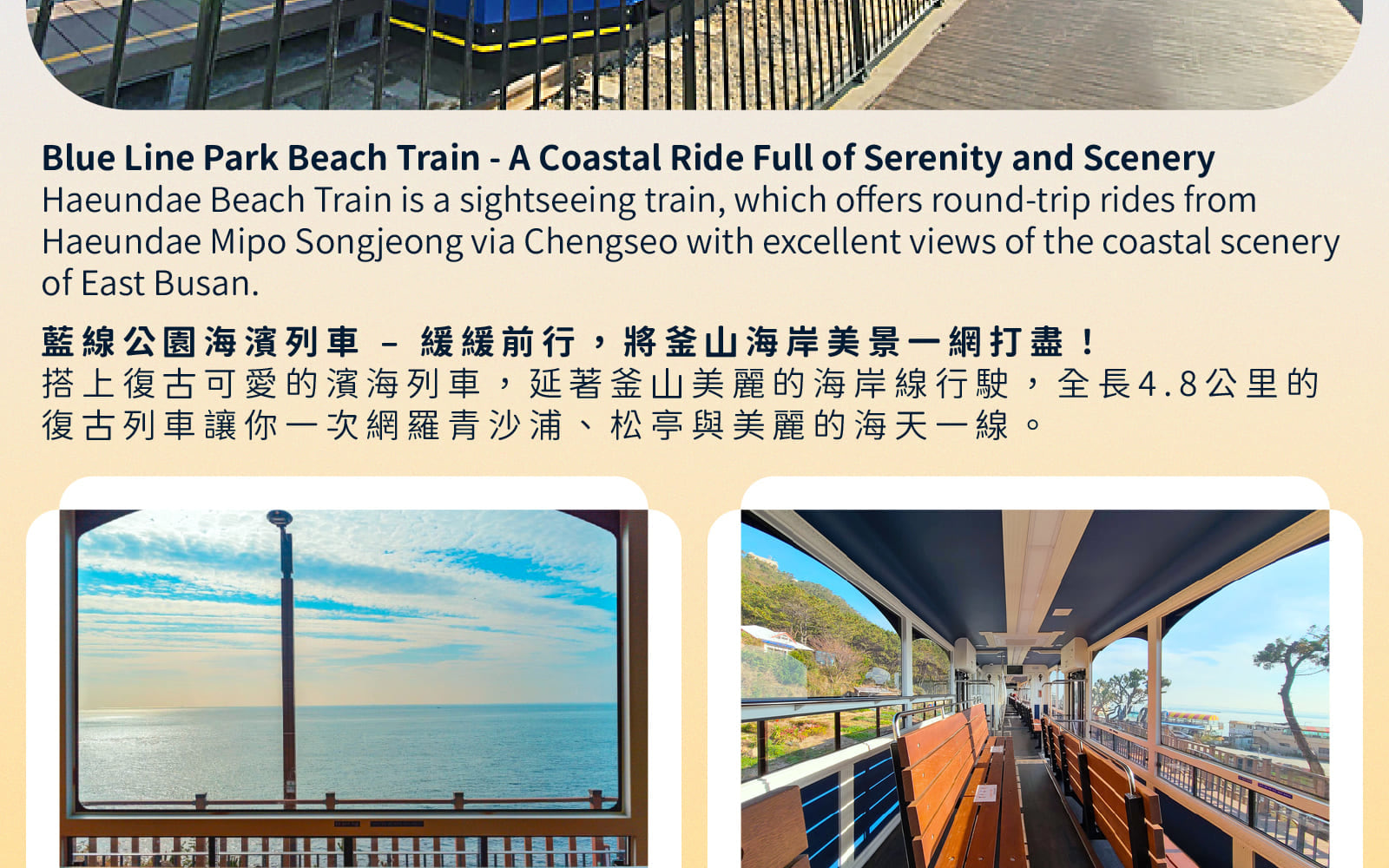 太宗臺繡球花 / 松島海上纜車 / 甘川洞 / 廣安裡之旅