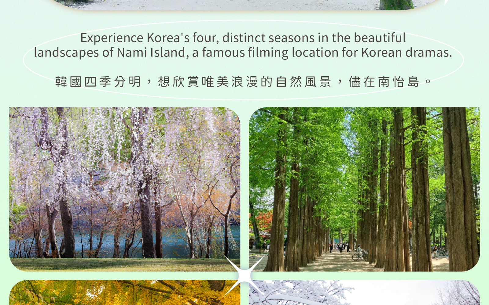 羊駝牧場 / 南怡島 / 江村鐵路自行車 / 晨靜樹木園 / 樂高樂園 /  秋海棠鳥園