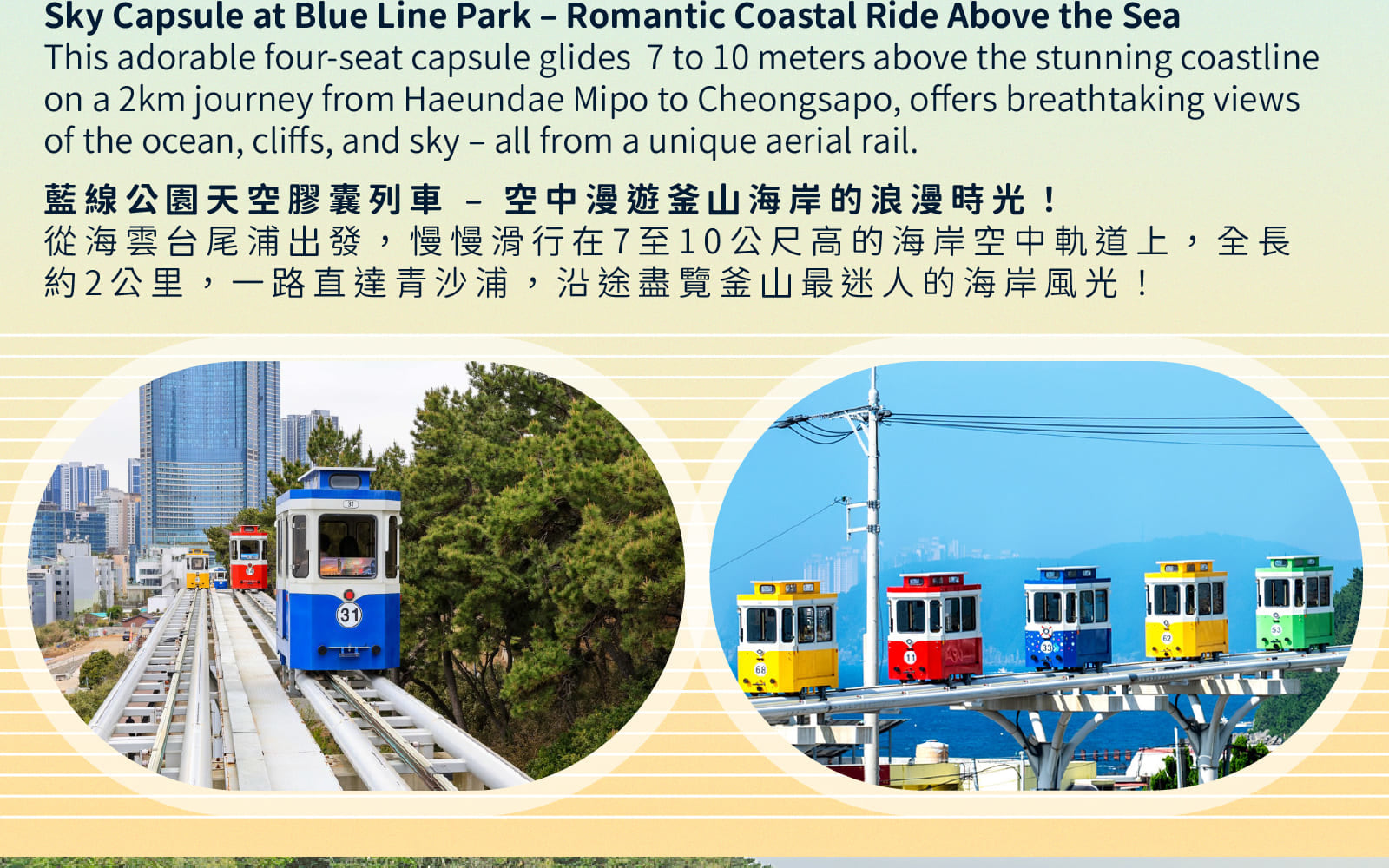 太宗臺繡球花 / 松島海上纜車 / 甘川洞 / 廣安裡之旅