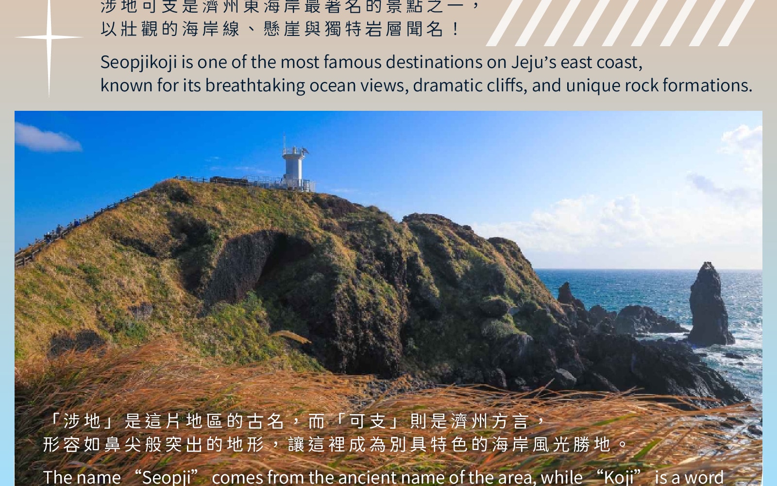 Jeju Eastern / Western / Cherry Blossom / Hydrangea / Private Tour 