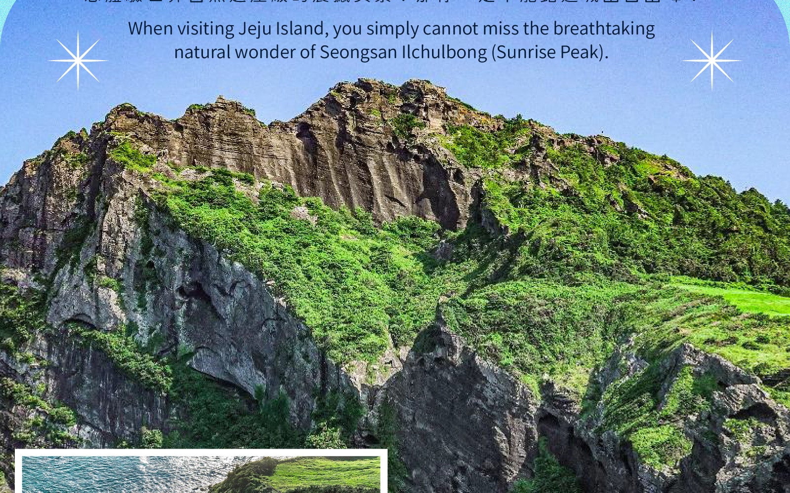 Jeju Eastern / Western / Cherry Blossom / Hydrangea / Private Tour 
