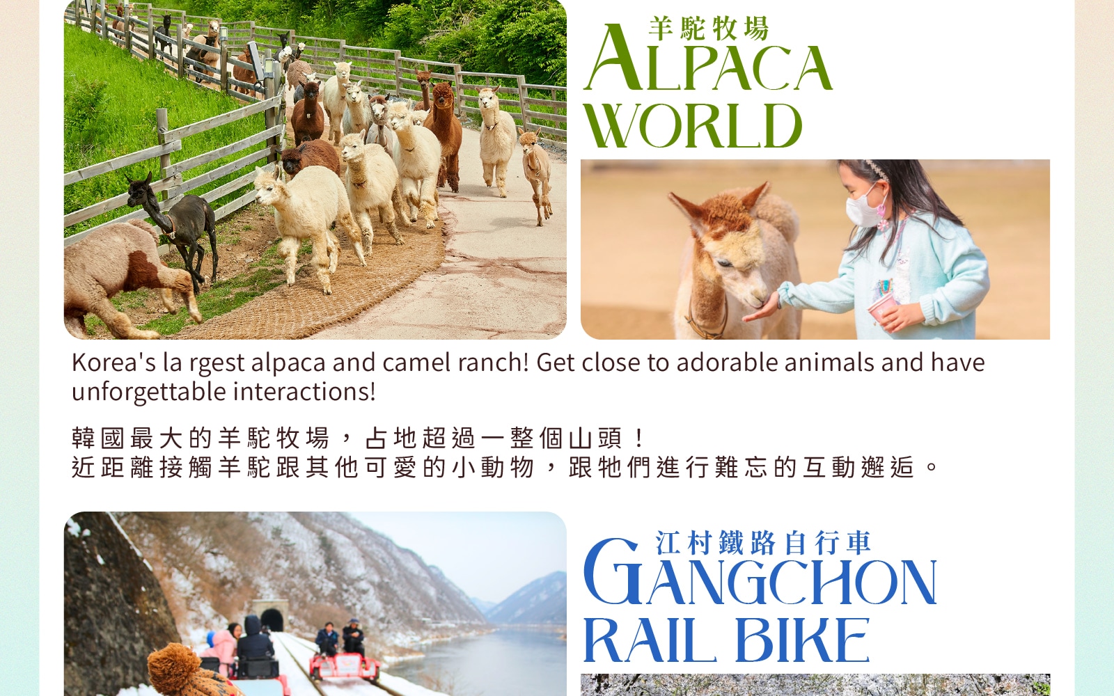 江村鐵路自行車/ 斜坡滑車/ 草泥馬牧場/ 採摘水蜜桃/ 樂高樂園 一日遊