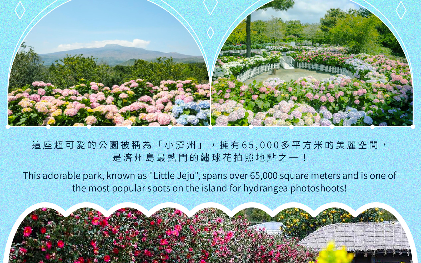 Jeju Eastern / Western / Cherry Blossom / Hydrangea / Private Tour 