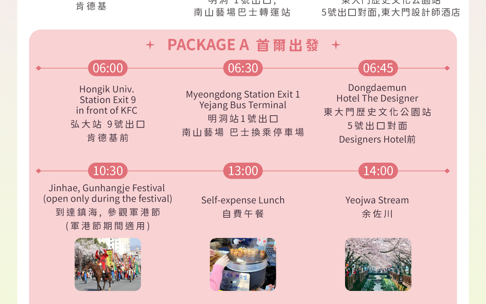 Jinhae Gunhangje Cherry Blossom Festival Day Tour from Seoul/Busan 