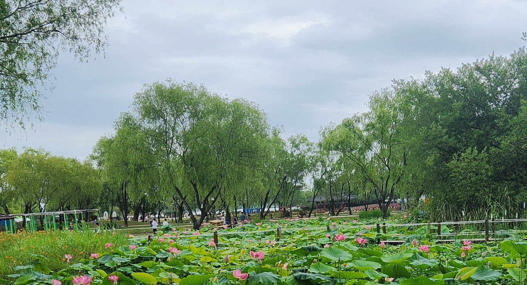 Feel  the spirit of Baekje kingdom and see the beautiful culture