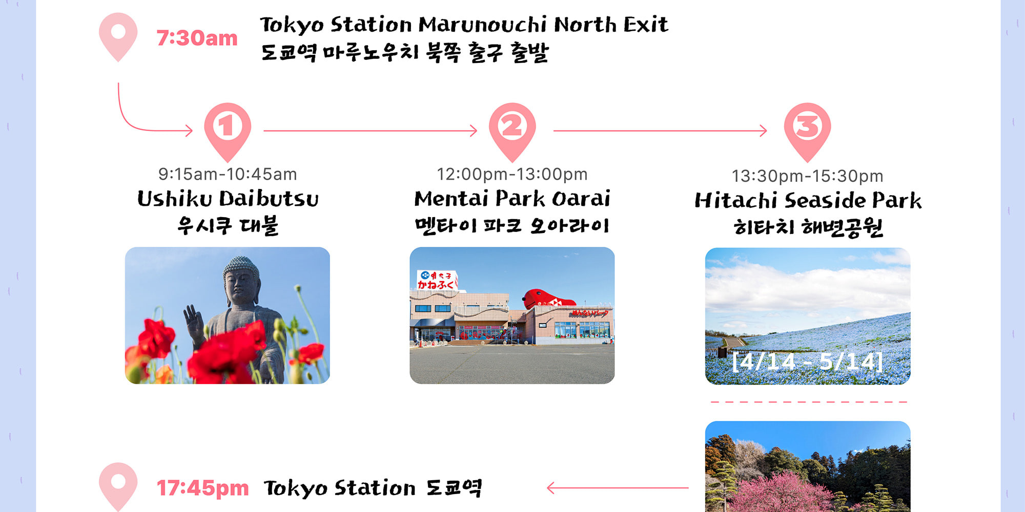 季節限定: 國營常陸海濱公園 & 足利花卉公園一日遊 (東京出發)