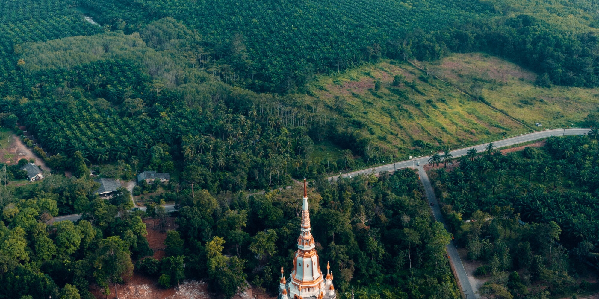 虎窟寺＆翡翠池叢林之旅（TTD Global 提供）- 喀比出發