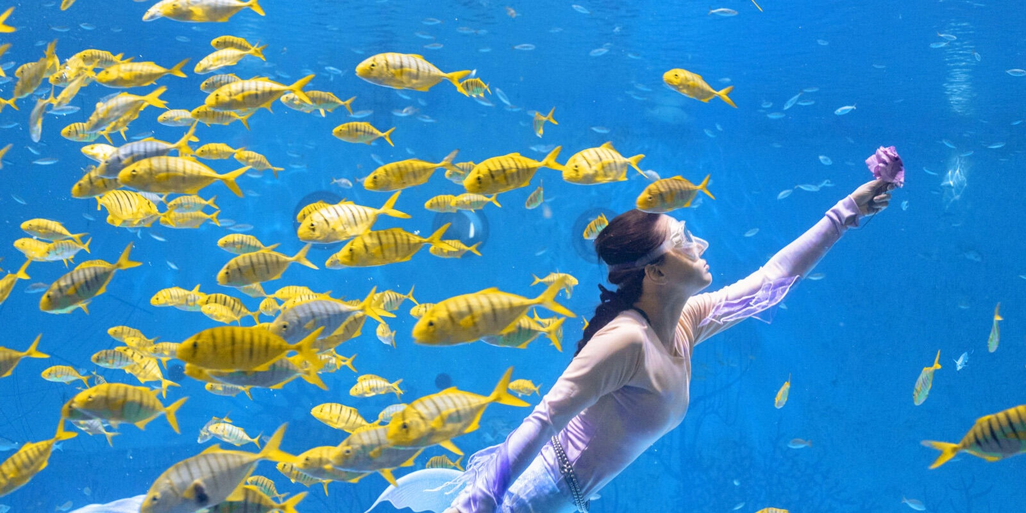 Mermaids dance with golden fish, Haichang Ocean Park, immersive and unlock the romantic secrets of the seabed