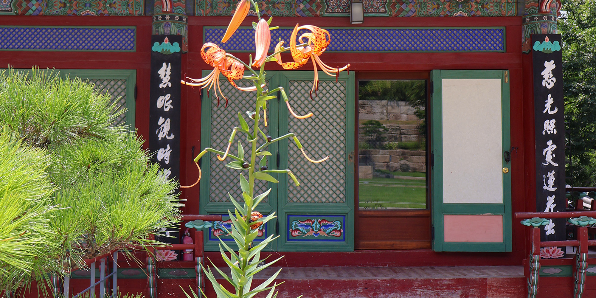 🙏 傳統韓式佛寺建築與周圍山脈的和諧融合，營造出令人驚嘆的美景。