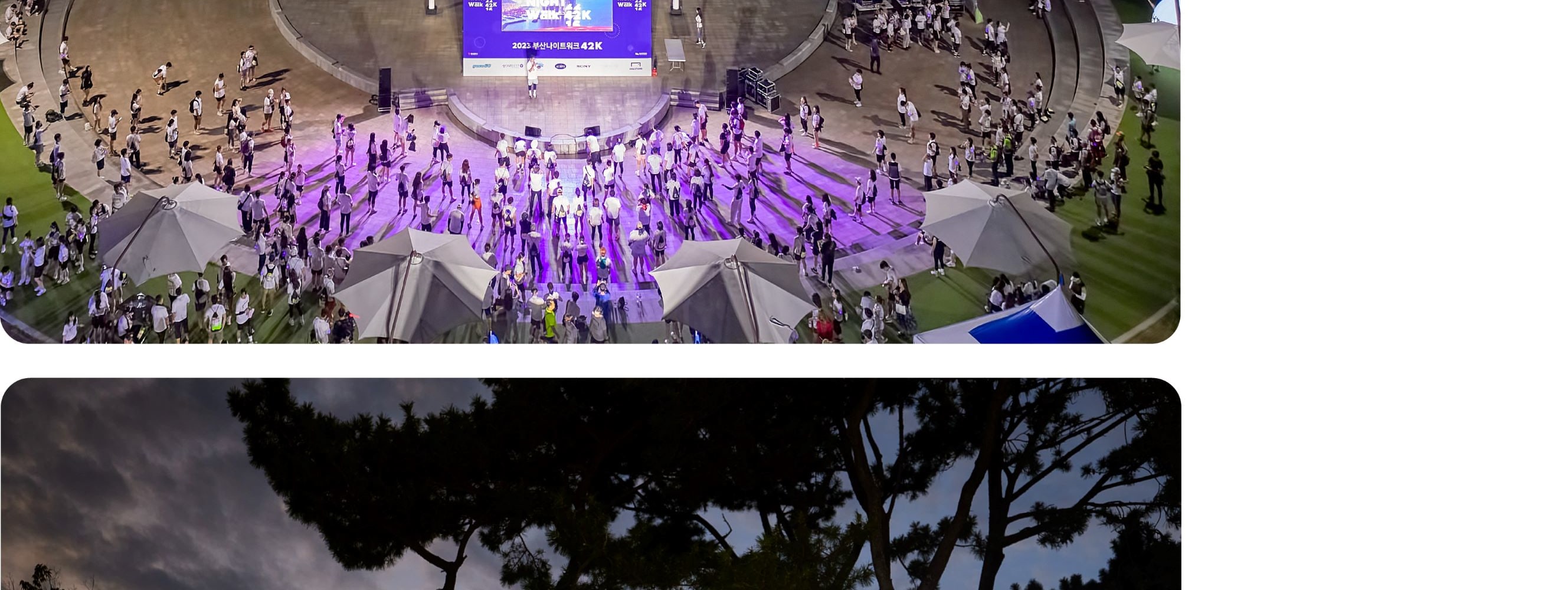 2025 Spring Walk Seoul 12K | Han River Walking Challenge