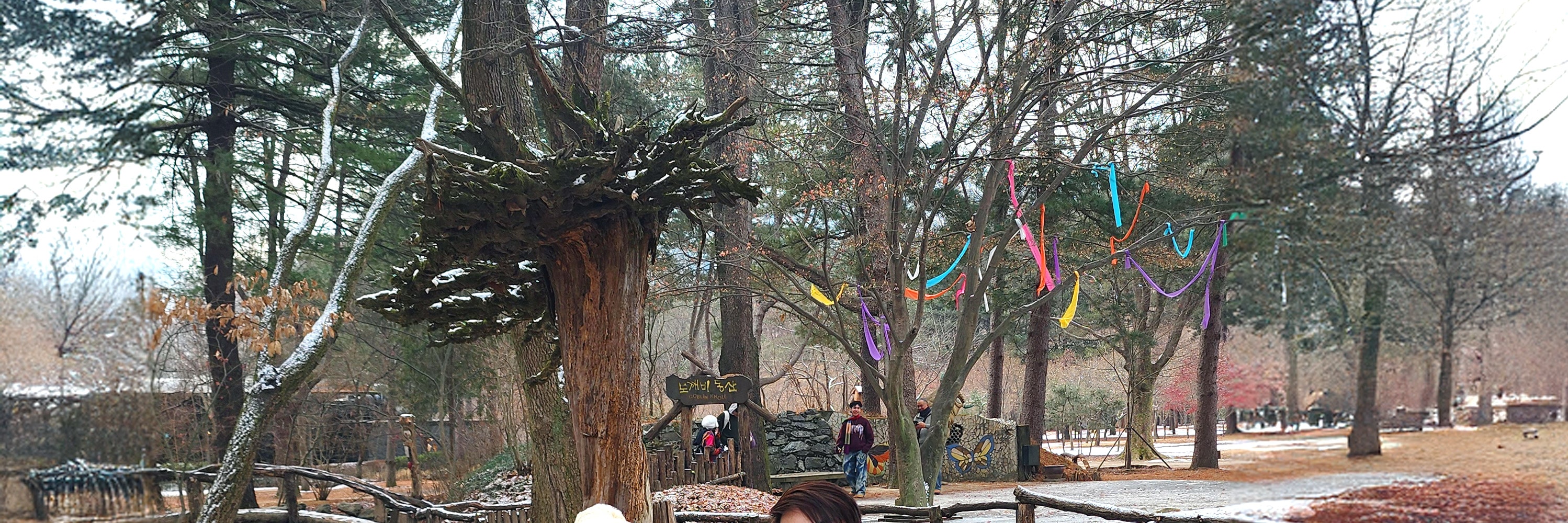 冬季的南怡島，白雪皚皚，宛如童話世界。