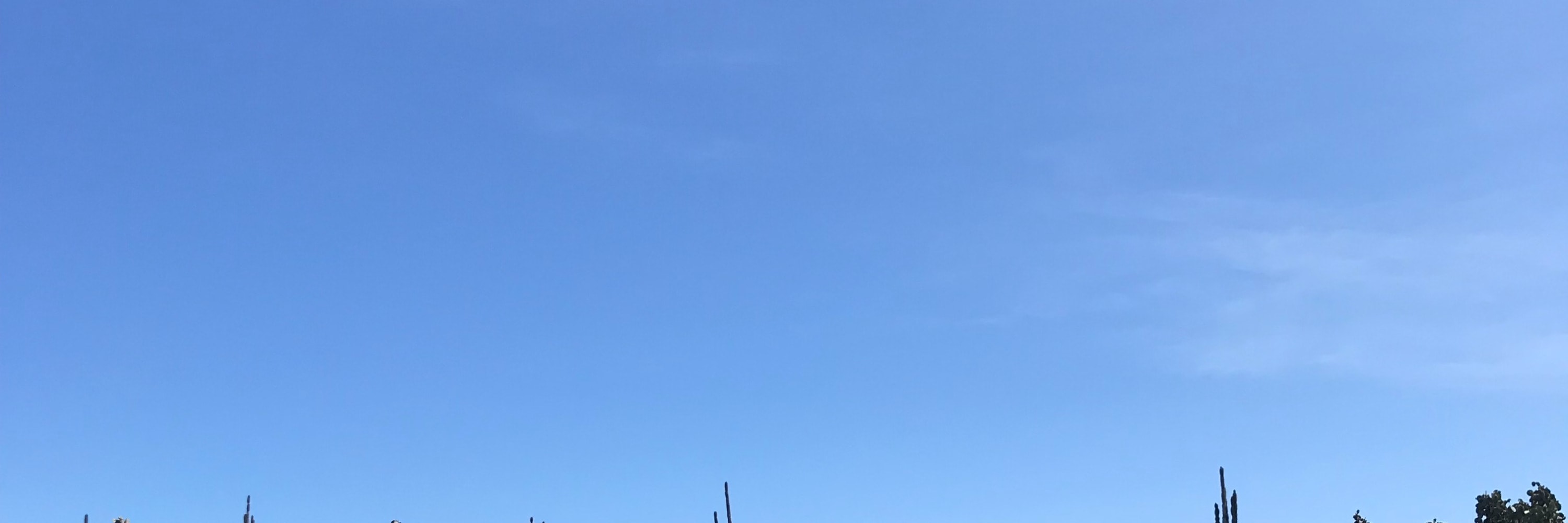 聖克魯斯島（Santa Cruz）海灣之旅