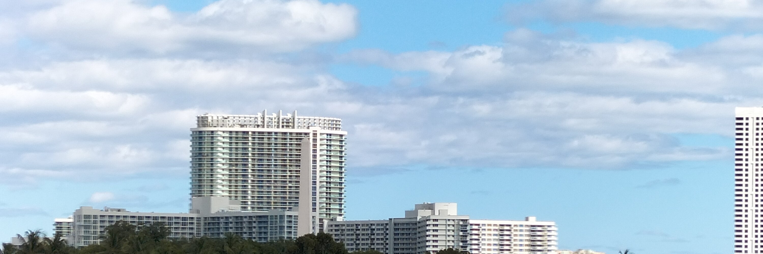Miami Safari: All-in-1 Tour, Bus, Boat and Walking Best Discovery
