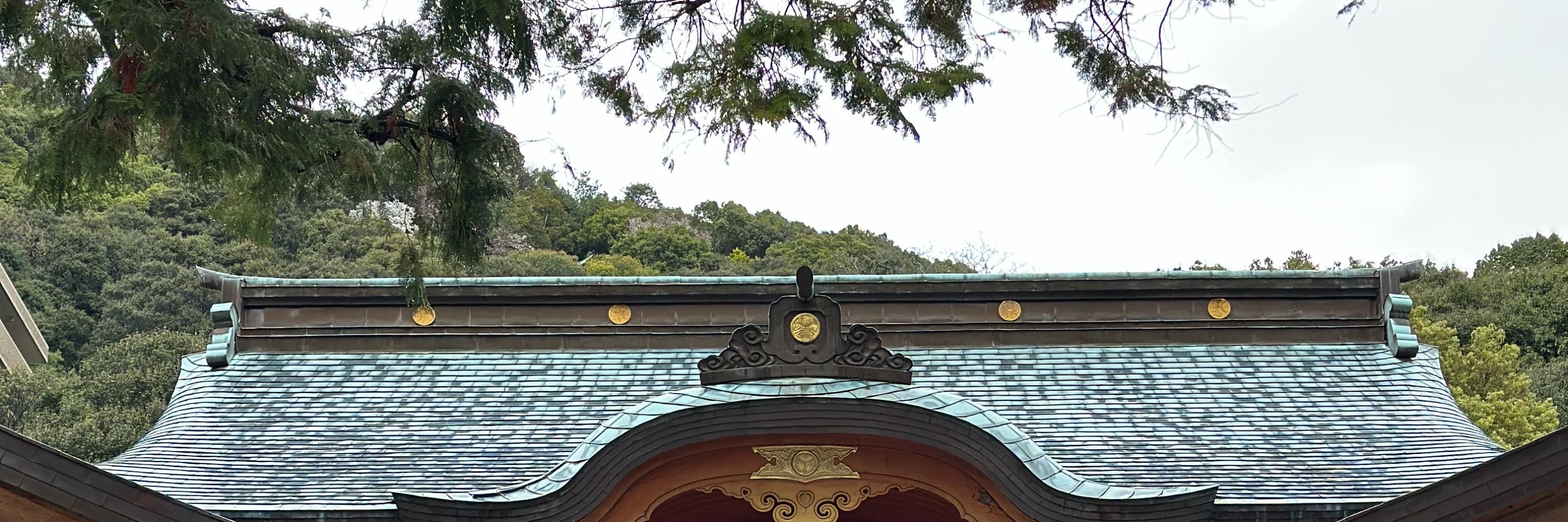廣島早晨徒步之旅 & 露天茶道