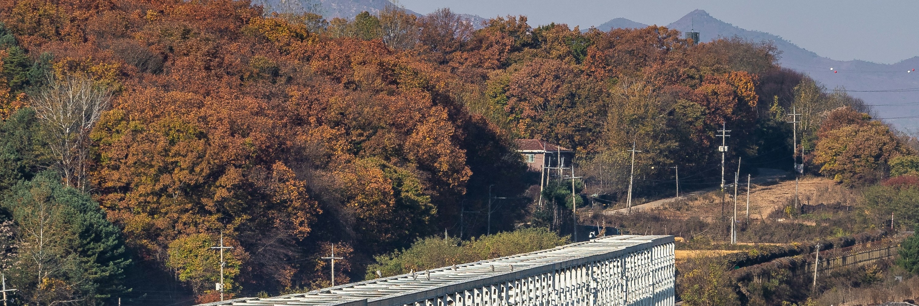 首爾周邊包車遊覽｜京畿道／江原道／景福宮