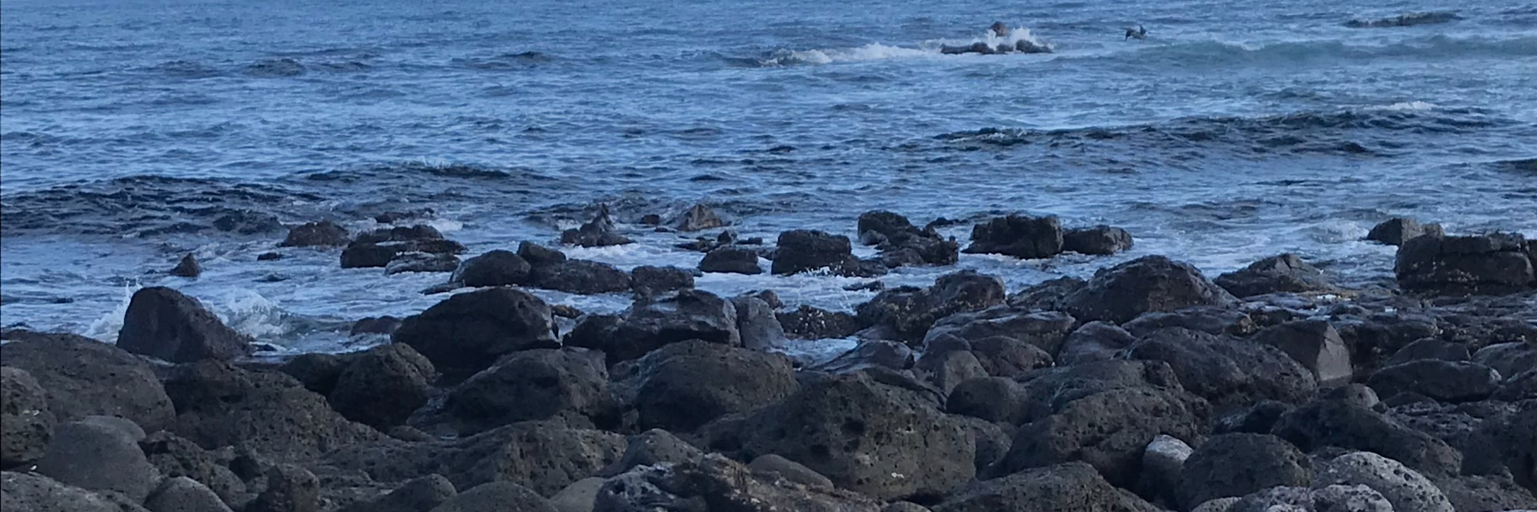 聖克魯斯島（Santa Cruz）海灣之旅