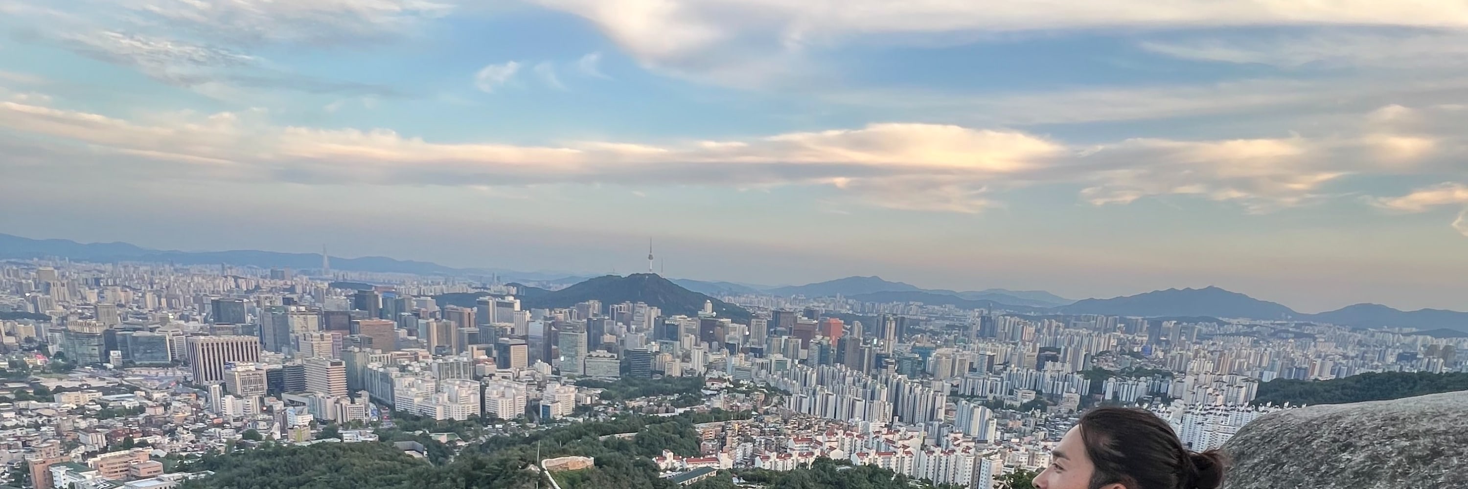 首爾夜景 & 當地市場街頭小吃品嚐體驗