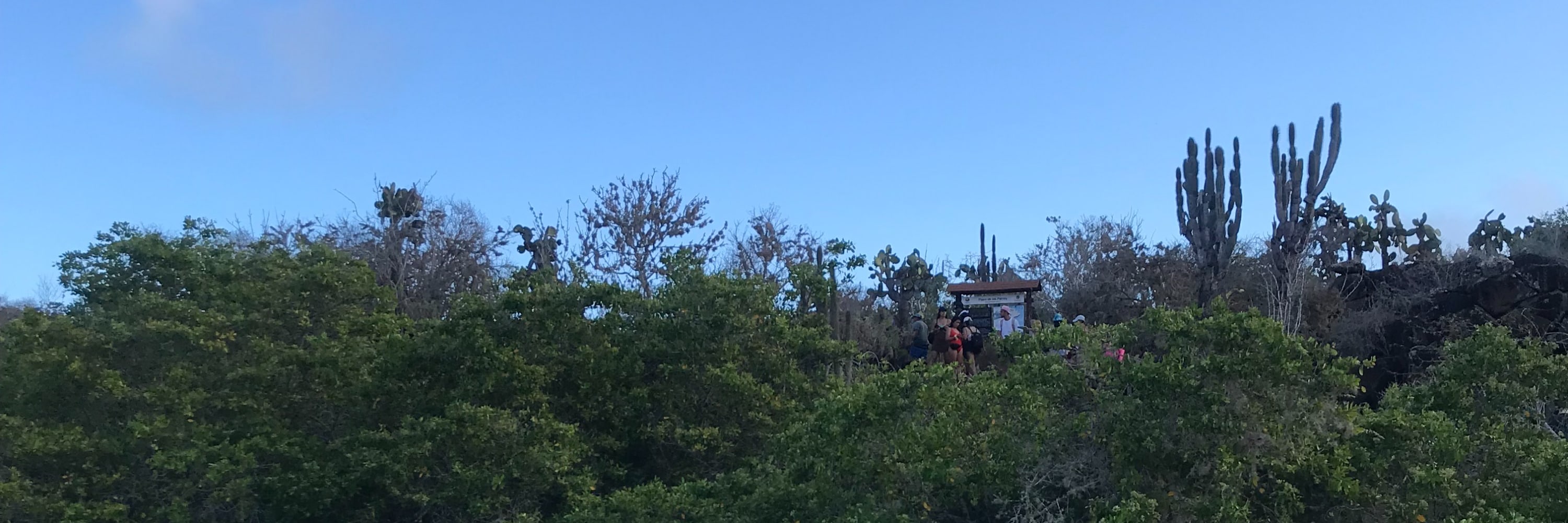 聖克魯斯島（Santa Cruz）海灣之旅