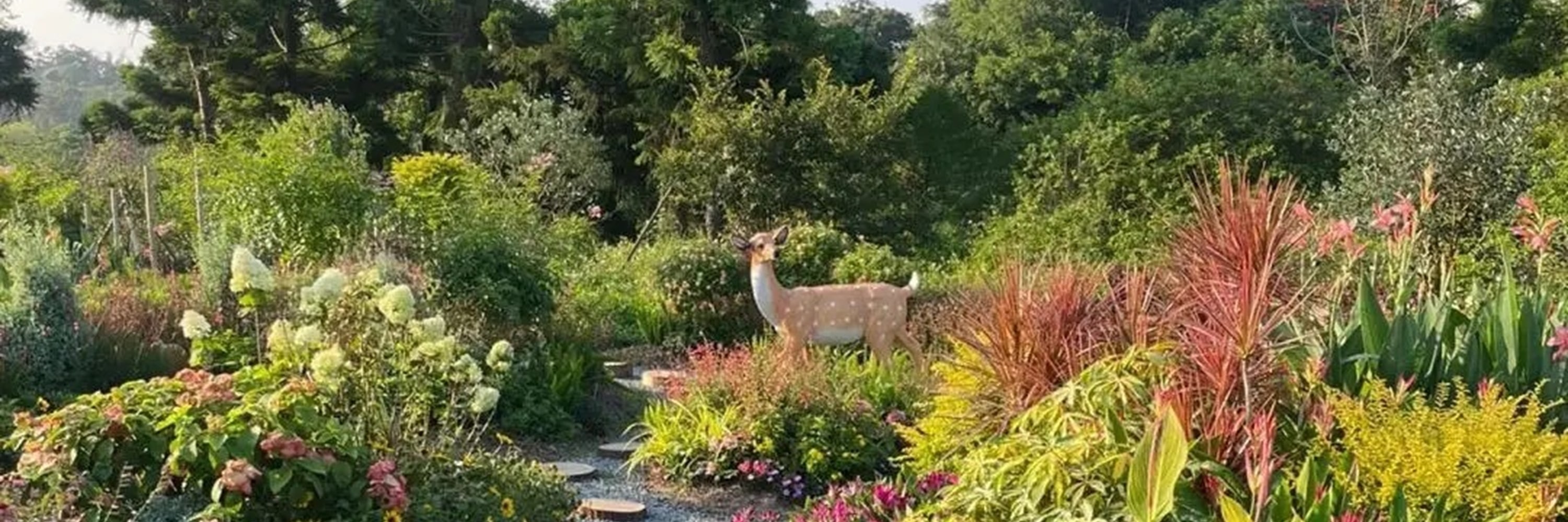 福建廈門植物園&南普陀&廈門大學1日遊（探秘廈門植物園+南普陀寺+邂逅廈門大學+感受華僑領袖陳嘉庚精神+體驗佛教文化+廈門往返）