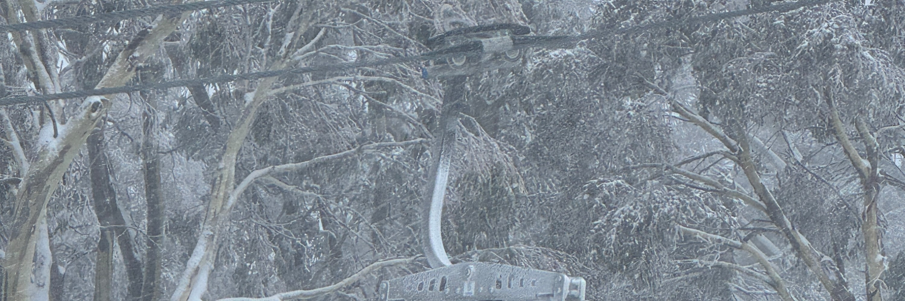Private Mount Buller Snow & Ski Tour in Melbourne