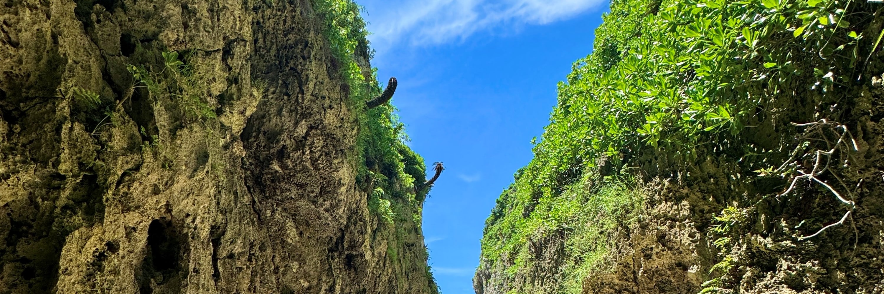 隱秘海灘