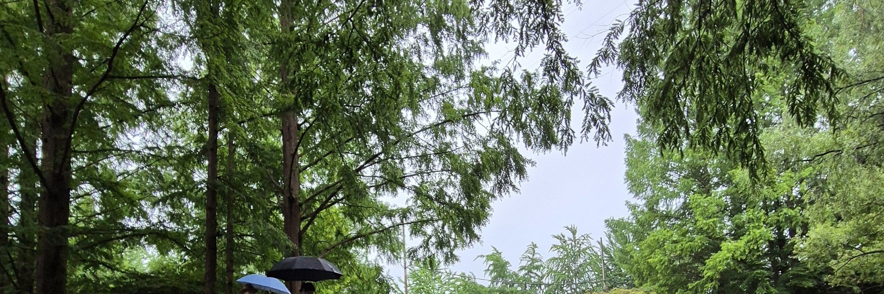 人稱“秘密花園”的洛江水路公園，真是一顆隱藏的寶石，讓人聯想到歐洲的公園。來自全國各地的年輕人都湧向這裡，拍攝令人驚歎的照片。該公園與安東大壩的建設同時建成，提供了一個c