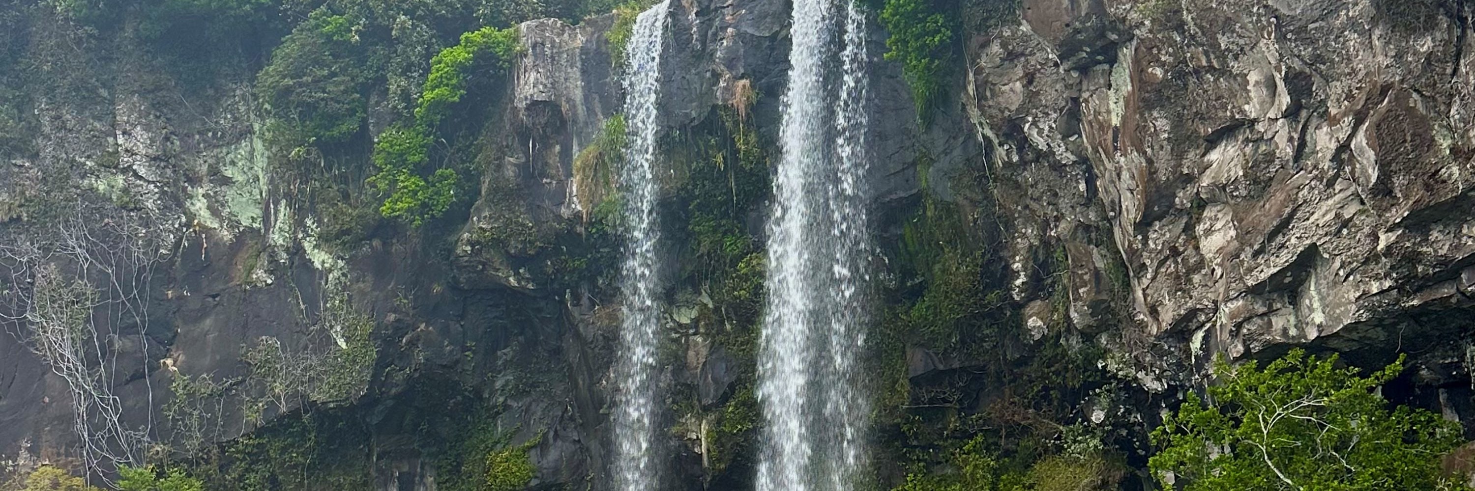 濟州賞櫻及草莓採摘小團一日遊