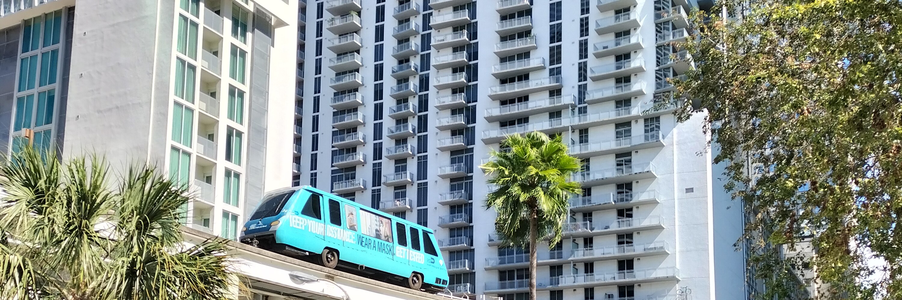 Miami Safari: All-in-1 Tour, Bus, Boat and Walking Best Discovery