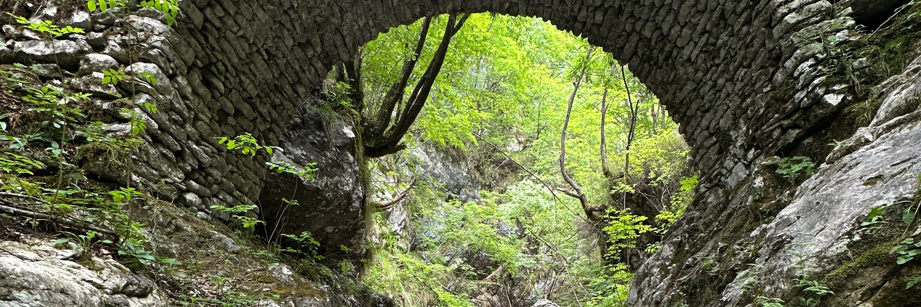 Exciting Canyoning in Susec canyon