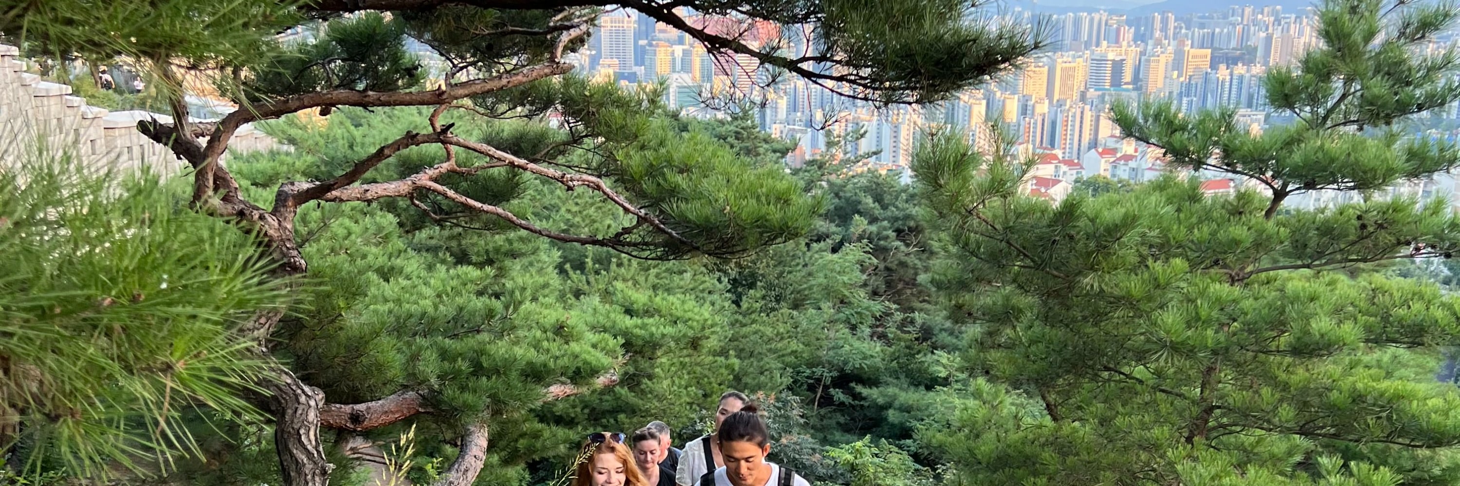 首爾夜景 & 當地市場街頭小吃品嚐體驗