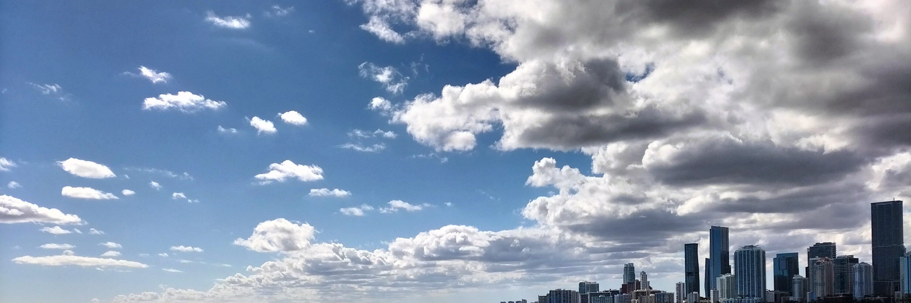 Miami Safari: All-in-1 Tour, Bus, Boat and Walking Best Discovery